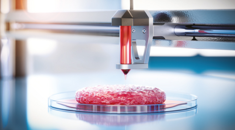 3D Food Printing Market Size, Share, Research and Industry 2025-2033