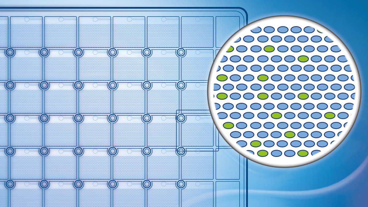 Digital Polymerase Chain Reaction (PCR) Market Analysis, Size, Share 2025-2033