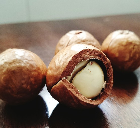 Macadamia Market Size, Share, Forecast, Demand 2025-2033