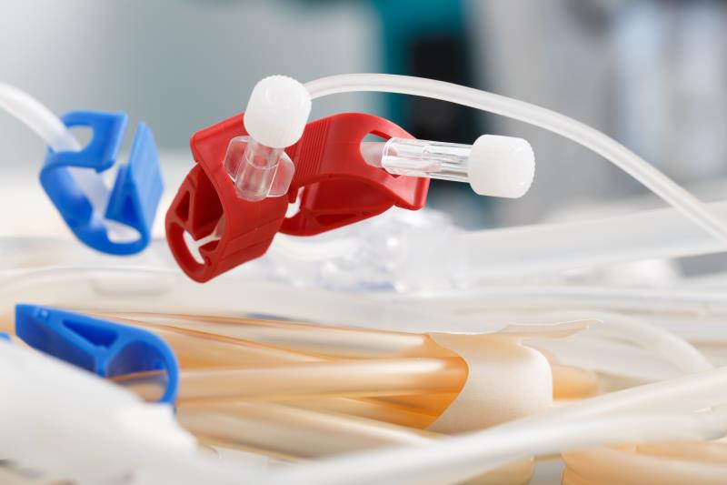 Catheter-Related Bloodstream Infection Drugs Market Size, Share and Growth 2025-2033